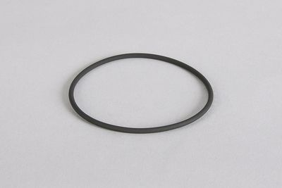 O-ring Ø 67 x 2.5 mm 